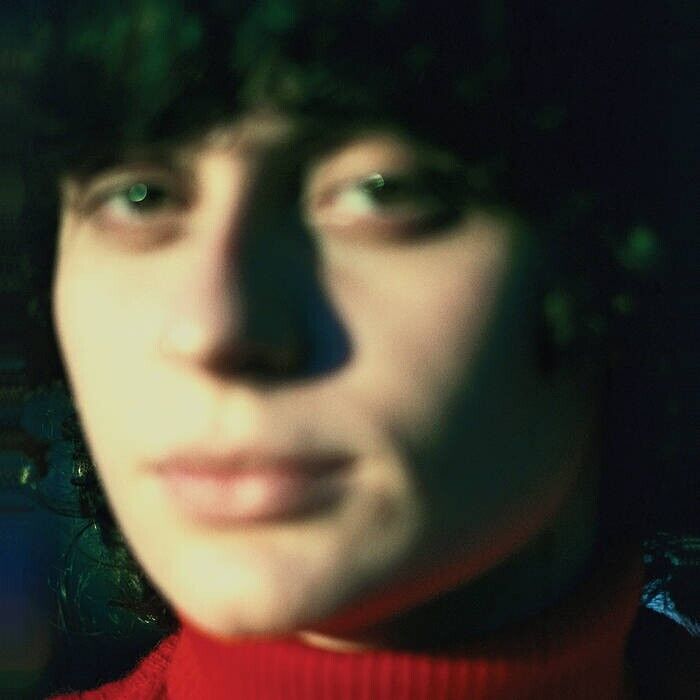 ANA FRANGO ELETRICO - LITTLE ELECTRIC CHICKEN HEART LP