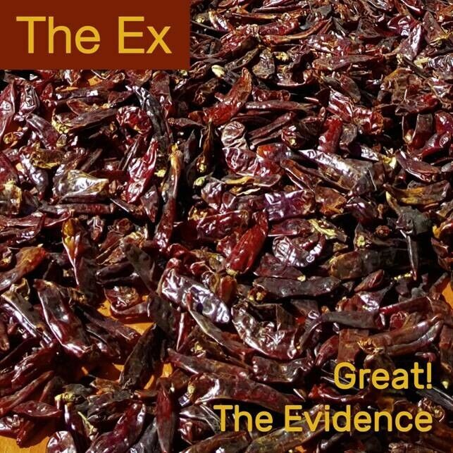 THE EX - GREAT! / THE EVIDENCE 7